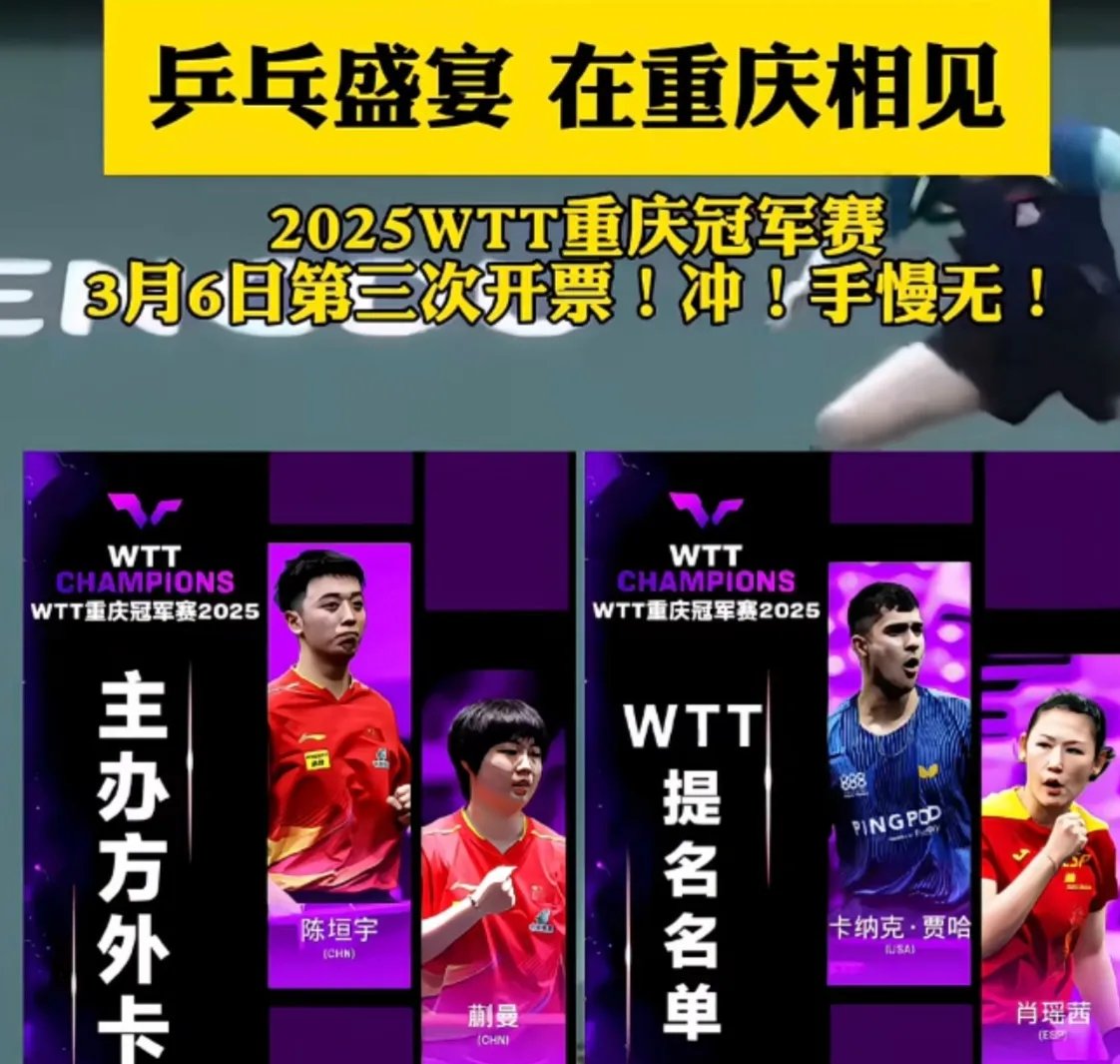 乒乓球小组赛上演强强对话，荆楚猎隼队大胜三湘银狐队，战术调整见效；教练团队居功至伟-爱游戏官方